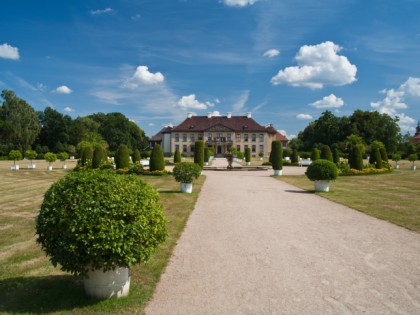 照片: 博物馆和展览会, 城堡， 要塞和宫殿, Schloss Oranienbaum, 萨克森-安哈尔特