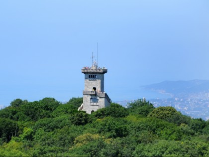 照片: 博物馆和展览会, 其他地方, 阿洪山塔, 索契