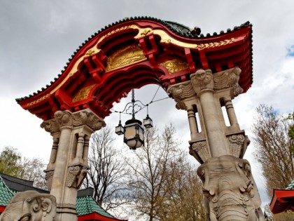 照片: 公园和娱乐活动, Zoologischer Garten / Tierpark Berlin-Friedrichsfelde, 柏林