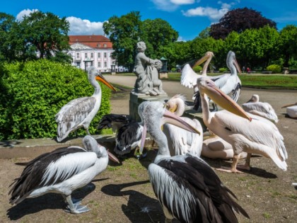 照片: 公园和娱乐活动, Zoologischer Garten / Tierpark Berlin-Friedrichsfelde, 柏林