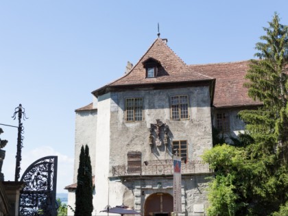 照片: 博物馆和展览会, 城堡， 要塞和宫殿, Altes Schloss Meersburg, 巴登-符腾堡