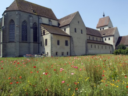 照片: 纪念碑, Kloster Reichenau, 巴登-符腾堡