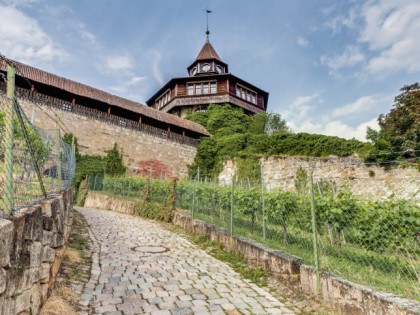 照片: 城堡， 要塞和宫殿, Esslinger Burg, 巴登-符腾堡