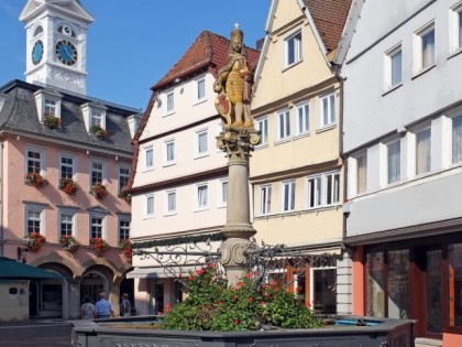 照片: 纪念碑, 博物馆和展览会, Historisches Rathaus & Urweltsmuseum, 巴登-符腾堡