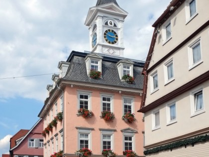 照片: 纪念碑, 博物馆和展览会, Historisches Rathaus & Urweltsmuseum, 巴登-符腾堡