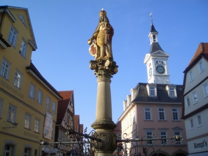 照片: 纪念碑, 博物馆和展览会, Historisches Rathaus & Urweltsmuseum, 巴登-符腾堡