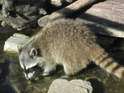 照片: 公园和娱乐活动, Zoo am Meer Bremerhaven, 不來梅