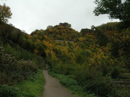 照片: 城堡， 要塞和宫殿, Burg Trutzeltz, 莱茵兰-普法尔茨