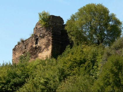 照片: 城堡， 要塞和宫殿, Burg Trutzeltz, 莱茵兰-普法尔茨