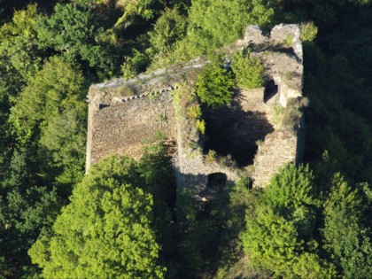 照片: 城堡， 要塞和宫殿, Burg Trutzeltz, 莱茵兰-普法尔茨