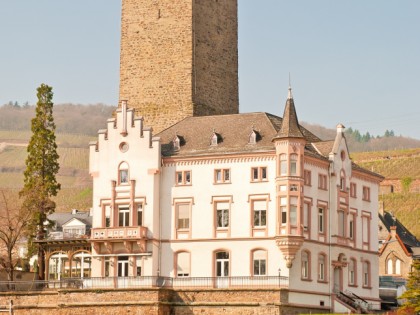 照片: 博物馆和展览会, 城堡， 要塞和宫殿, Schloss Brömserburg, Rheingauer Weinmuseum, 黑森