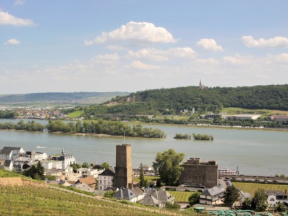 照片: 博物馆和展览会, 城堡， 要塞和宫殿, Schloss Brömserburg, Rheingauer Weinmuseum, 黑森