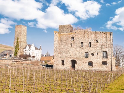 照片: 博物馆和展览会, 城堡， 要塞和宫殿, Schloss Brömserburg, Rheingauer Weinmuseum, 黑森