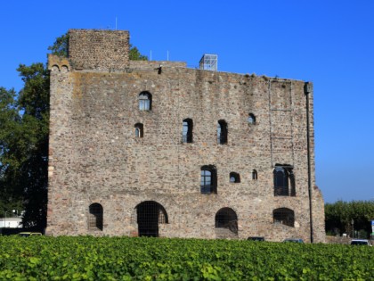 照片: 博物馆和展览会, 城堡， 要塞和宫殿, Schloss Brömserburg, Rheingauer Weinmuseum, 黑森