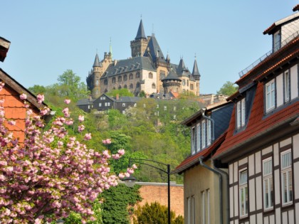 照片: 博物馆和展览会, 城堡， 要塞和宫殿, Schloss Wernigerode, 萨克森-安哈尔特