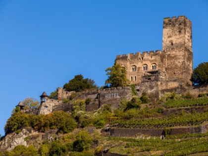 照片: 城堡， 要塞和宫殿, Burg Gutenfels, 莱茵兰-普法尔茨